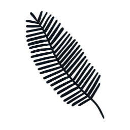 카네이션, 어버이날, 꽃, 일러스트, 스승의날, 꽃잎, 잎사귀, 라인드로잉, 잎, 식물