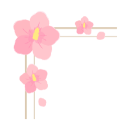 모서리장식, 무궁화, 무궁화꽃, 분홍, 꽃, 삼일절, 광복절, 현충일, 히비스커스, 플로릴디자인