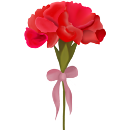 카네이션, 꽃, 효도, 어버이날, 스승의날, 부모님, 선생님, 가정의달, 감사, 사랑, 장미, 은혜, 핑크카네이션, 5월, 카네이션꽃