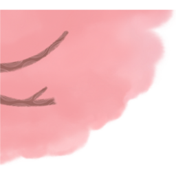 벚꽃, 꽃, 나무, 벚꽃나무, 봄, 벚꽃놀이, 벚꽃잎, 꽃잎, 봄소풍, 4월, 봄바람, 로맨틱, 공원, spring, cherryblossom, cherry, blossoms