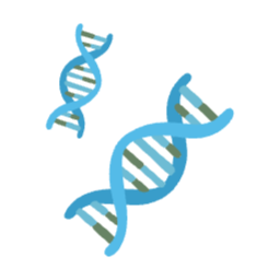 DNA, 과학, 생물학, 연구, 조사, 유전자, 화학, 발전, 염색체, 유전의