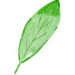 leaf, green, watercolor, plant, foliage, nature, art, flora, botanical, painting, 잎, 녹색, 수채화, 식물, 잎사귀, 자연, 예술, 식물상, 식물학적, 그림