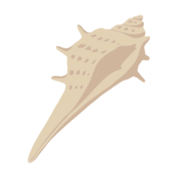 소라, 조개, 뿔소라, 여름, 바다, 여름해변, 바다속, conch, seashell, horned, summer, ocean, beach, underwater