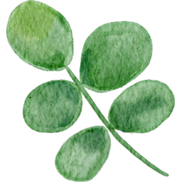 leaf, green, watercolor, plant, foliage, nature, art, flora, botanical, painting, 잎, 녹색, 수채화, 식물, 잎사귀, 자연, 예술, 식물상, 식물학적, 그림
