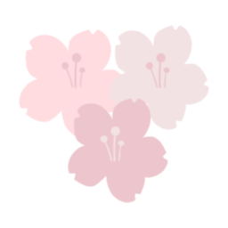 봄, 여행, 저축, 벚꽃, 꽃, 봄꽃