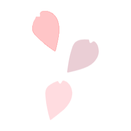 봄, 여행, 꽃잎, 벚꽃