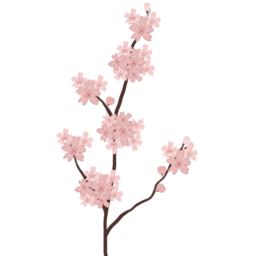 벚꽃, 벚꽃나무가지, 벚꽃나무, 벚꽃가지, 디자인, 배경, 블러썸, 봄, 감성, 꽃나무, 봄꽃, 분홍꽃, 핑크, 자연, 꽃잎, 로맨틱, 분위기, 분홍색, 일러스트, 나뭇잎, 가지, 꽃, 축제, 식물, 벚꽃축제, 시작