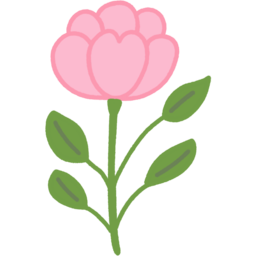 꽃, 카네이션, 분홍꽃, 분홍색, 분홍색꽃, flower, nature, 자연, 꽃잎