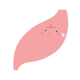 위, 소화, 소화불량, 위에 좋은 음식, 위장, stomach, indigestion, digestion, organ, 장기