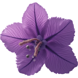 입학, 졸업, 꽃, 꽃잎, 여름, 야생화, 보라색, 제비꽃, entrance, graduation, flower, petal, summer, WildFlower, purple, violet