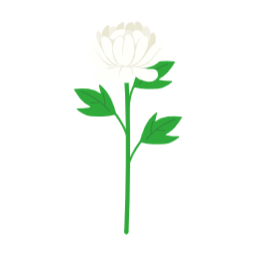 국화, 국화꽃, 국화꽃일러스트, 꽃, 상징, 조문, 조의, 장례식장꽃, 가을, 가을국화