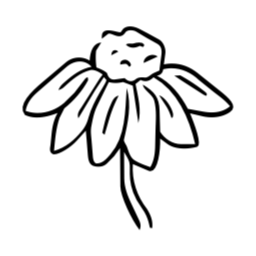 카네이션, 어버이날, 꽃, 일러스트, 스승의날, 꽃잎, 잎사귀, 라인드로잉, 잎, 식물