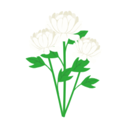 국화, 국화꽃, 국화꽃일러스트, 꽃, 상징, 조문, 조의, 장례식장꽃, 가을, 가을국화