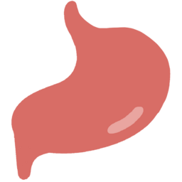 위, stomach, gut, 위장, 장기, organ, 메디컬, 소화, 소화기관, medical, 소화제, 병원, 내과, digestive, 건강검진, 소화기