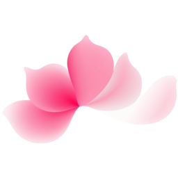 꽃, 꽃잎, 분홍, 분홍꽃, 연꽃, flower, 화사한, 연분홍꽃, 핑크, pink
