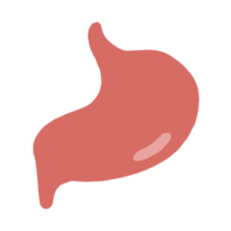 위, stomach, gut, 위장, 장기, organ, 메디컬, 소화, 소화기관, medical, 소화제, 병원, 내과, digestive, 건강검진, 소화기