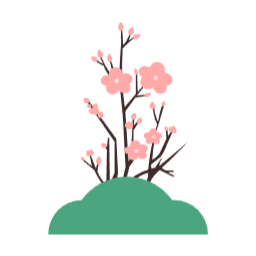 꽃, 식물