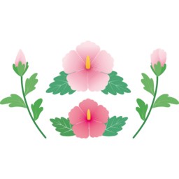 무궁화, 국화, 꽃, 분홍, 분홍꽃, 나뭇잎, 식물, 꽃잎, 꽃봉오리, 예쁜, 장식, 데코, 한국국화, 한국, 대한민국