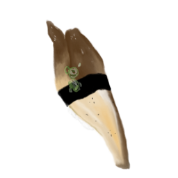 스시, 장어스시, 일식