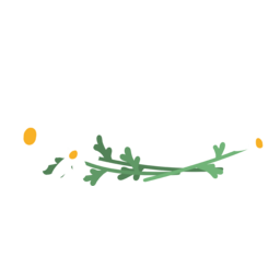 꽃, 데이지, 들꽃, 손그림, 식물, 여름, 자연, 화초, 흰, 샤스타데이지, 이름표, 꾸미기