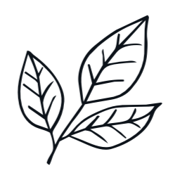 카네이션, 어버이날, 꽃, 일러스트, 스승의날, 꽃잎, 잎사귀, 라인드로잉, 잎, 식물