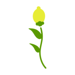 레몬, 줄기, 상큼한, 꽃, 벡터, 식물, Flower, Lemon, 그림, 일러스트