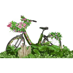 꽃, 식물, 자전거, 꽃바구니, bicycle