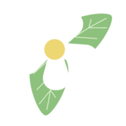 꽃, 봄꽃, 데이지, 잎사귀