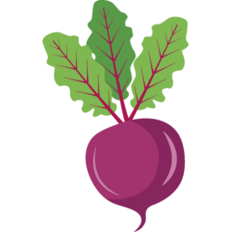 비트, 레드비트, 채소, 음식, 야채, 빨간무, 레드푸드, 건강, 빨간채소, 열매, beet, food