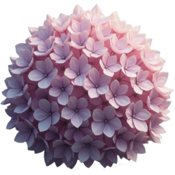 입학, 졸업, 꽃, 꽃잎, 여름, 야생화, 연보라색, 수국, entrance, graduation, flower, petal, summer, WildFlower, LightPurple, purple, hydrangea