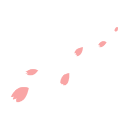 꽃, 꽃잎, 식물, 벚꽃, 봄, 카네이션, 날이는꽃
