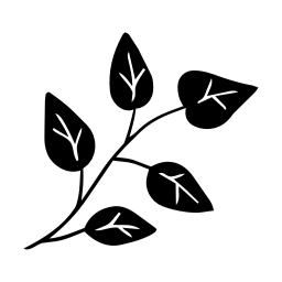 카네이션, 어버이날, 꽃, 일러스트, 스승의날, 꽃잎, 잎사귀, 라인드로잉, 잎, 식물