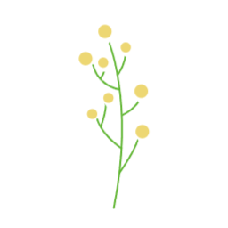 꽃, 봄꽃, 데이지, 잎사귀
