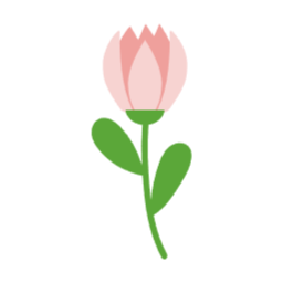 꽃, 장식, 플라워, 자연, 꽃다발, 향기로운, 꽃잎, 꽃계절, 꽃송이