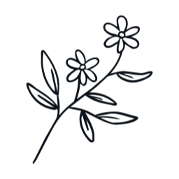 카네이션, 어버이날, 꽃, 일러스트, 스승의날, 꽃잎, 잎사귀, 라인드로잉, 잎, 식물