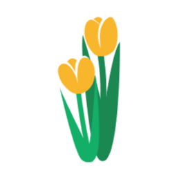 꽃, 식물, 튤립, 튤립꽃, flower, 봄, 봄꽃, spring, 튤립페스티발, 튤립축제, tulip, 노란꽃