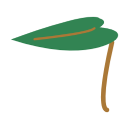 우산, 우비, 나뭇잎, 나무, 잎, 리프, leaf, plant, environment, 자연, ㅎ, 환경, 환경보호, 보호, 잎사귀, 잎파리, 이파리