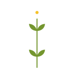 꽃, 줄기, 잎, 나뭇잎