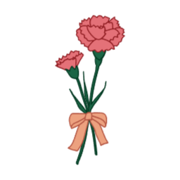 카네이션, 꽃, 어버이날, 선물