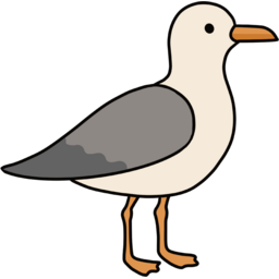 갈매기, 바다새, 새, bird