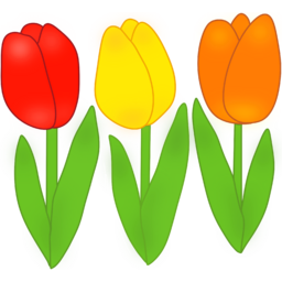 꽃, 식물, 튤립, 봄, 봄꽃, 봄축제, 축제, 꽃놀이