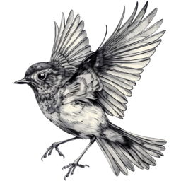 유럽울새, 코네티컷, 미시간, 새, 새그림, 새일러스트, 연필스케치, 스케치, 소그림, 세밀화, bird, robin, 개똥지바뀌, 지빠뀌, 봄새, 울새, 겨울새, 참새, 핀치새, 귀여운조류, 조류, 작은, 작품, 실제같은, 나는새
