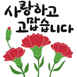 사랑합니다, 고맙습니다, 카네이션, 어버이날, 스승의날, 감사, 감사인사