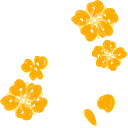 꽃, 식물, 꽃잎, 꽃송이, 꽃배경, 꽃그림, 노란꽃
