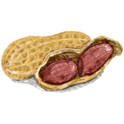 땅콩, Penuts, 땅콩껍질