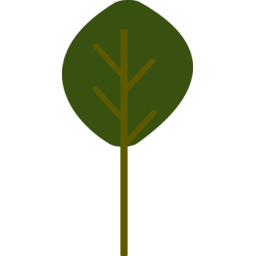나무, TREE, 자연, 자연물, 식물
