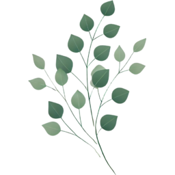 , 요소, 배경, PNG, 투명, 잎