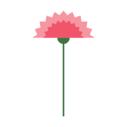 카네이션, 가정의달, 5월, 어버이날, 스승의날, 감사