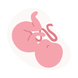태아, 아기, 임신, 출산, 육아, baby, birth, pregnant, pregnancy, 탯줄, 산부인과, 산모, infant, 신생아, 아가, 애기