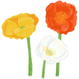 탄생화, 꽃, 일러스트, 손그림, 1월, 수선화, 2월, 물망초, 3월, 벚꽃, 4월, 아네모네, 5월, 튤립, 6월, 장미, 7월, 해바라기, 8월, 양귀비, 9월, 다알리아, 10월, 조팝나무, 11월, 금잔화, 12월, 동백꽃